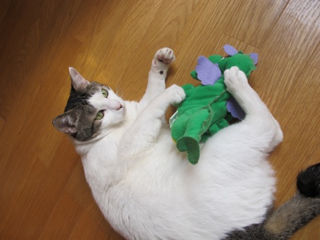 ソラとドラゴン