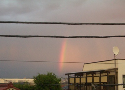 今日の虹